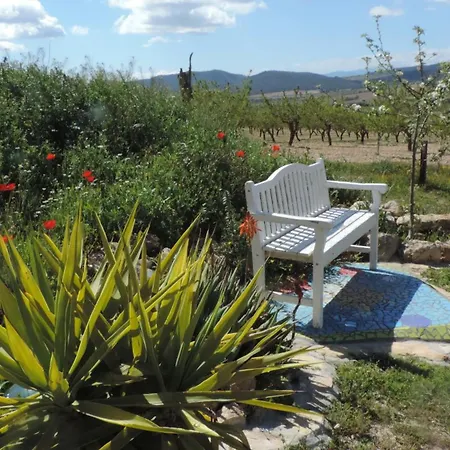 Brisa Casa de Férias